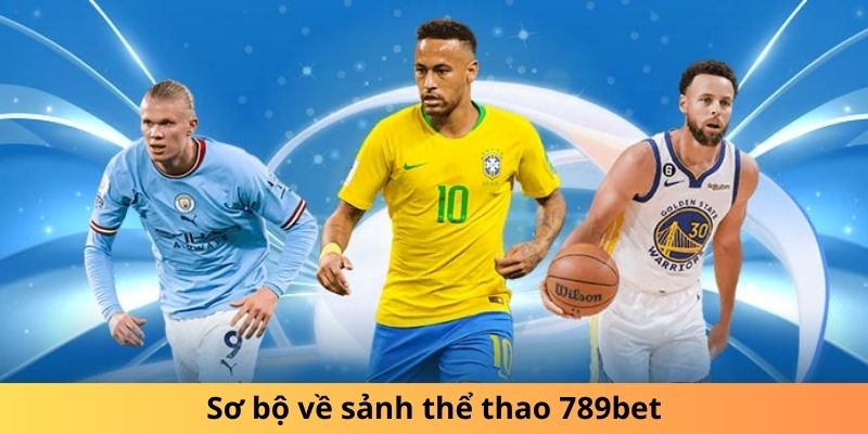Sơ bộ về sảnh thể thao 789bet